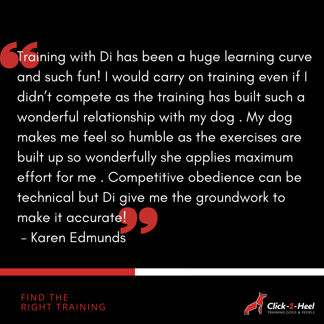 Testimonial Karen C2H online dog training
