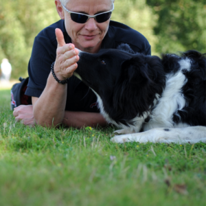 di martin touch C2H online dog training