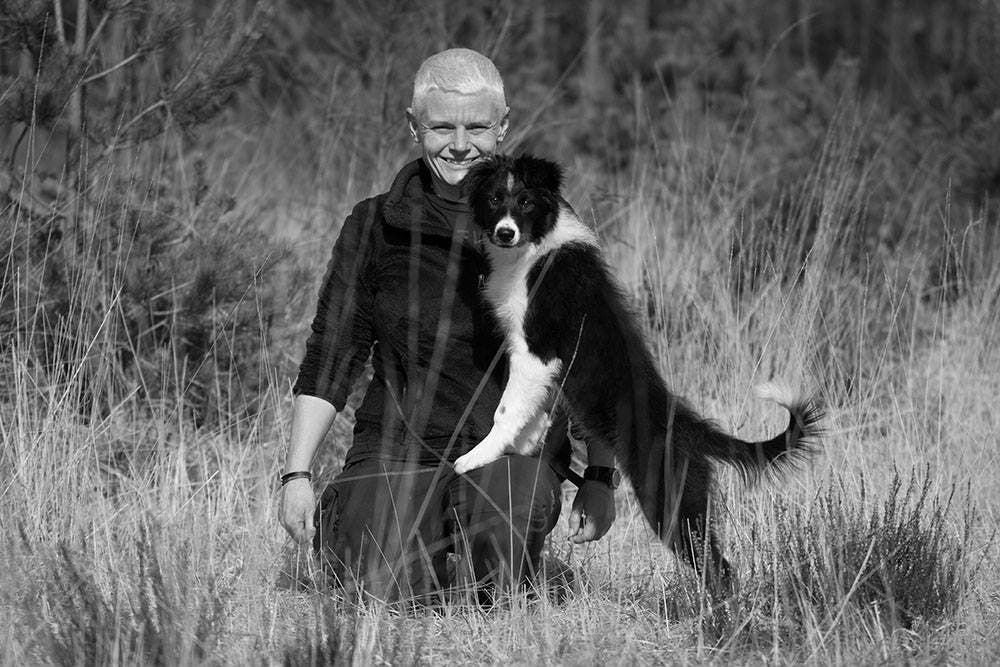 Collie and di course image bw C2H online dog training